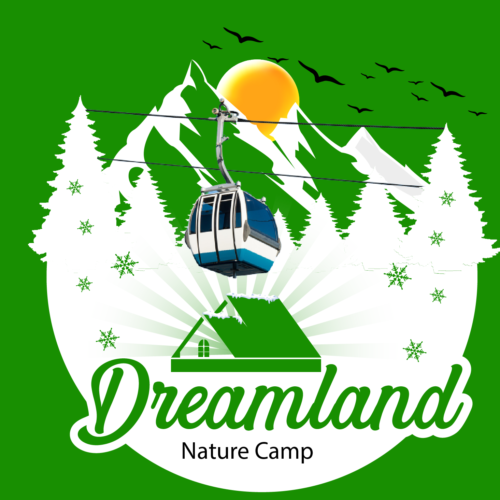 DLM LOGO