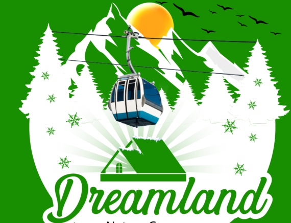 DLM LOGO