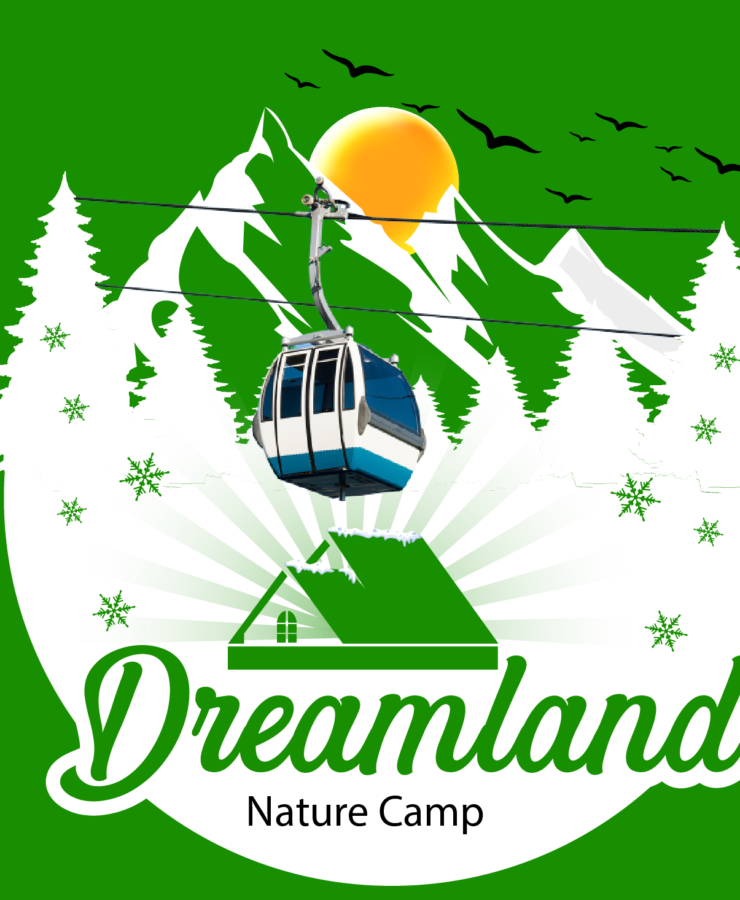 DLM LOGO